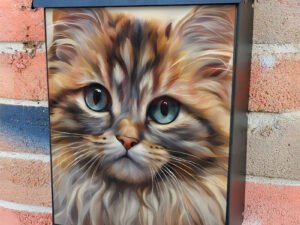 Little Maine Coon Cat Portrait Colonial Mailbox Cover