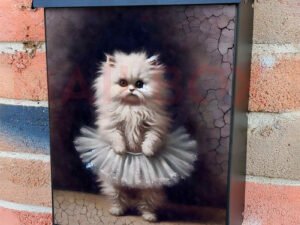 Cute Ballet Dancer Kitten Colonial Mailbox Cover